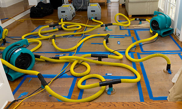 Professional Water Damage Restoration technician working in Black Creek, NC